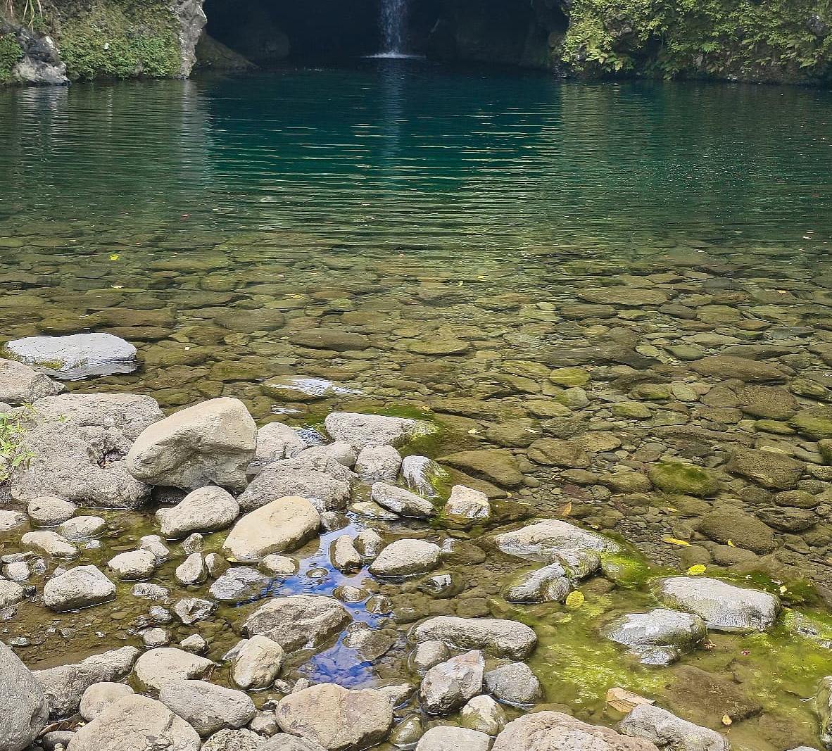Régulation des émotions et du comportement